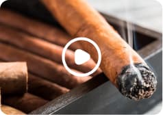 Lit cigar with smoke